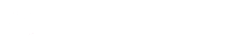 Tech Company
